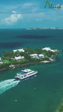 Hawaiian Shirts for Men Aloha Party Casual Camp Cruise vacation Tourist Wear